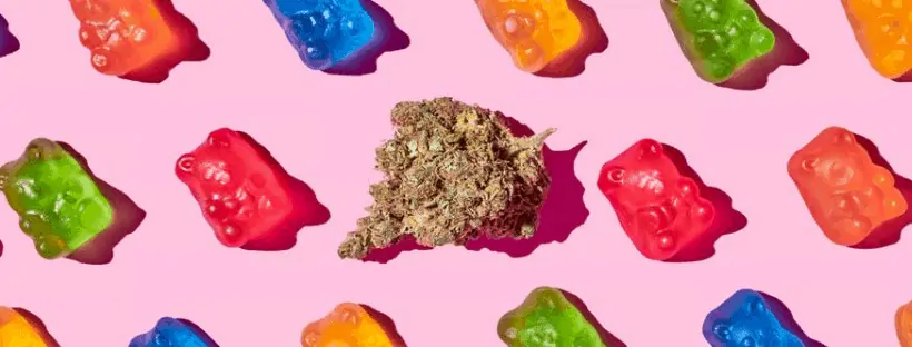 Safety With Cannabis Gummies