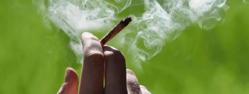Can Smoking Marijuana Damage The Lungs