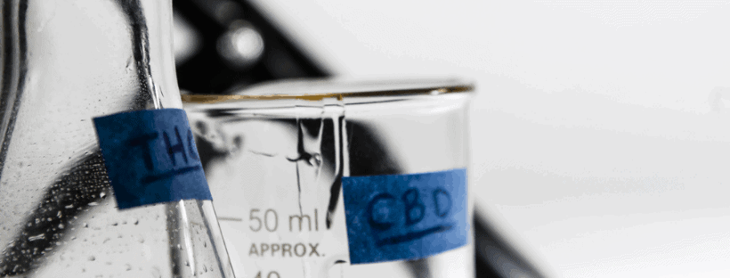 What Are The Differences Between Thc And Cbd