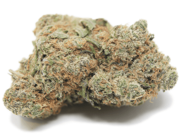Strawberry cough weed strain