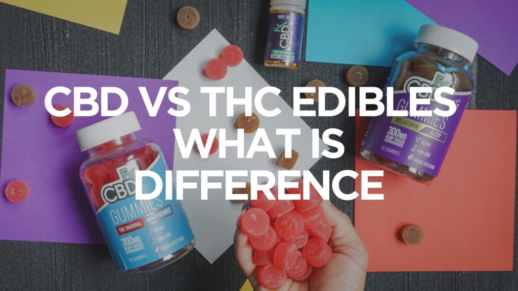 Cbd-Vs-Thc-Edibles-What-Is-Difference