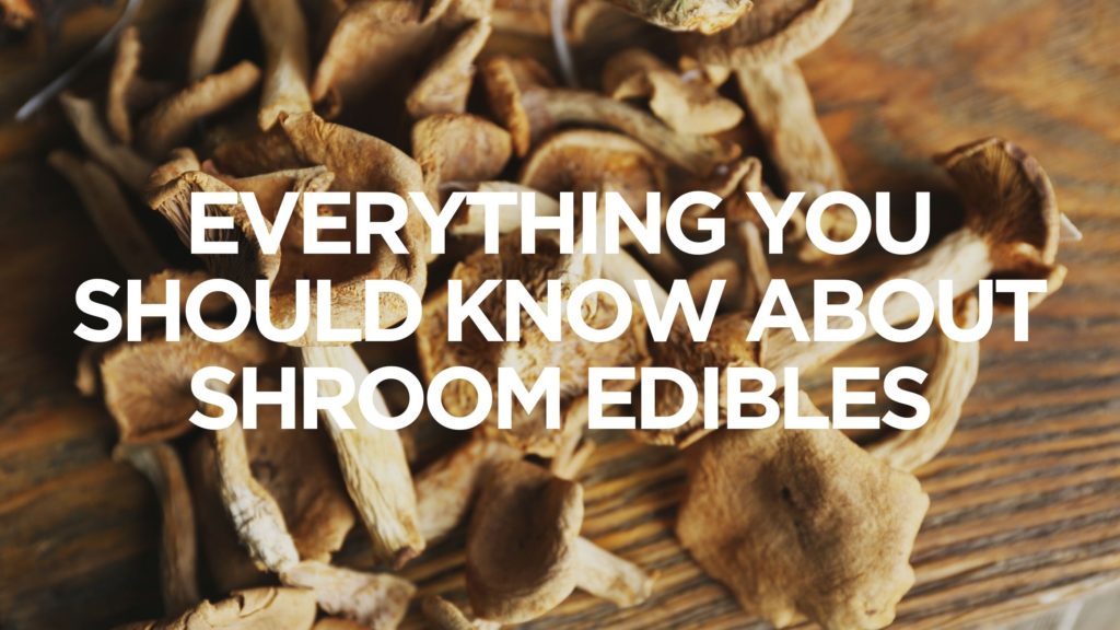 Everything You Should Know About Shroom Edibles 1 4