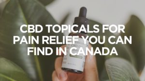 Cbd-Topicals-For-Pain-Relief-You-Can-Find-In-Canada