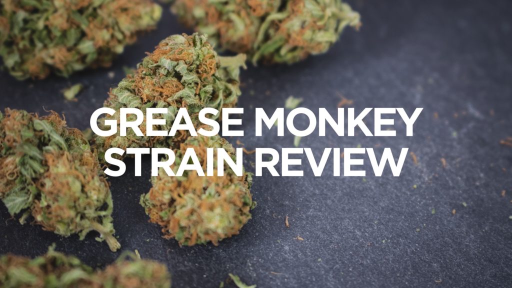 Grease-Monkey-Strain-Review