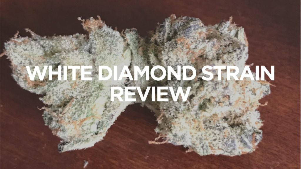 White-Diamond-Strain-Review