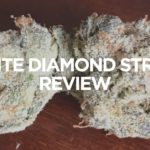 white-diamond-strain-review