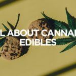 All About Cannabis Edibles