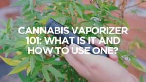Cannabis Vaporizer 101 What Is It And How To Use One
