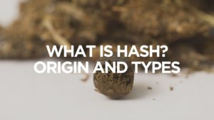 What is Hash Origin And Types