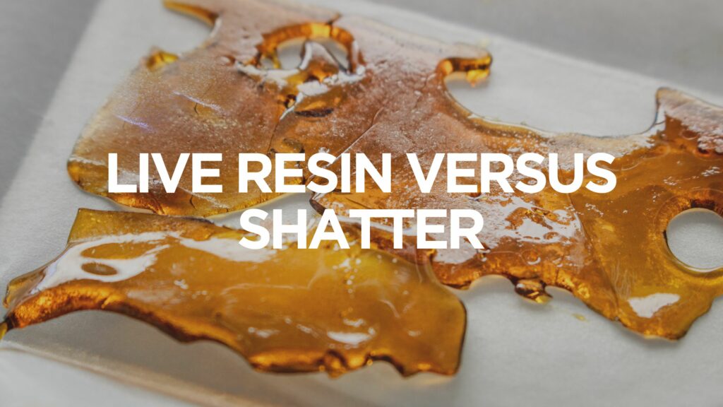 Live Resin Versus Shatter