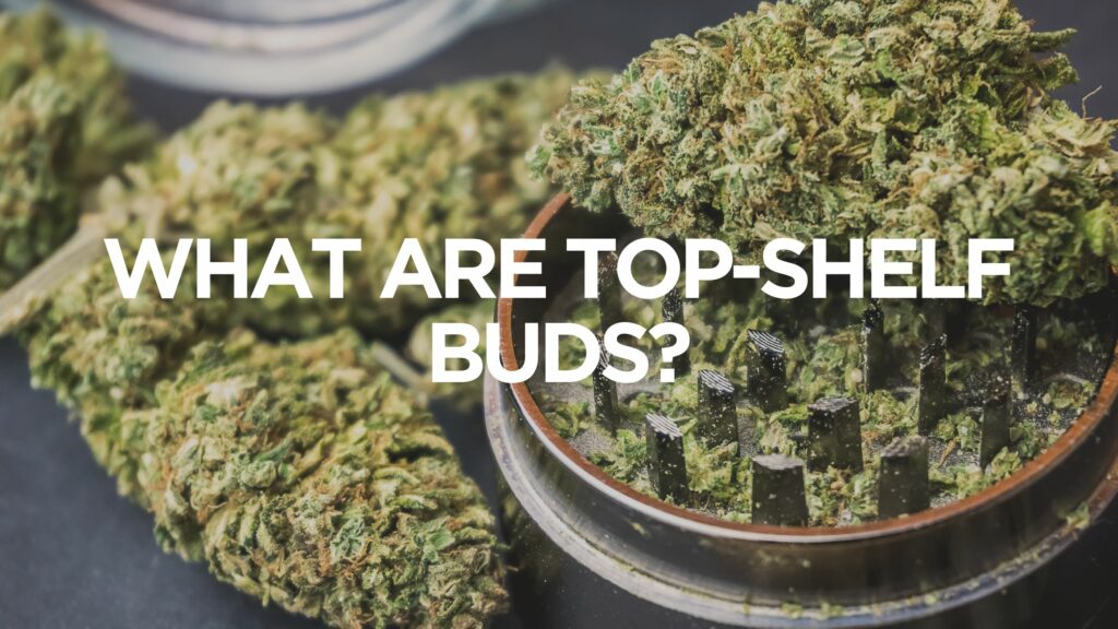 What Are Top Shelf Buds