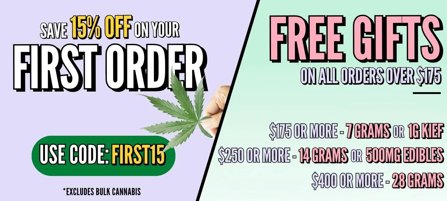 Save 15 Off Your First Order Using Code First15