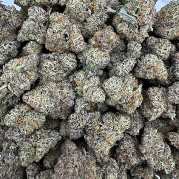 Cherry Pie Seeds Bulk