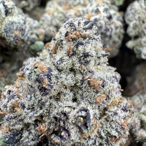 Cherry Pie Seeds Macro