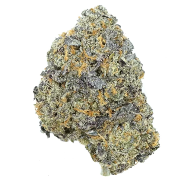 Bahama Mama 1 Bahama Mama