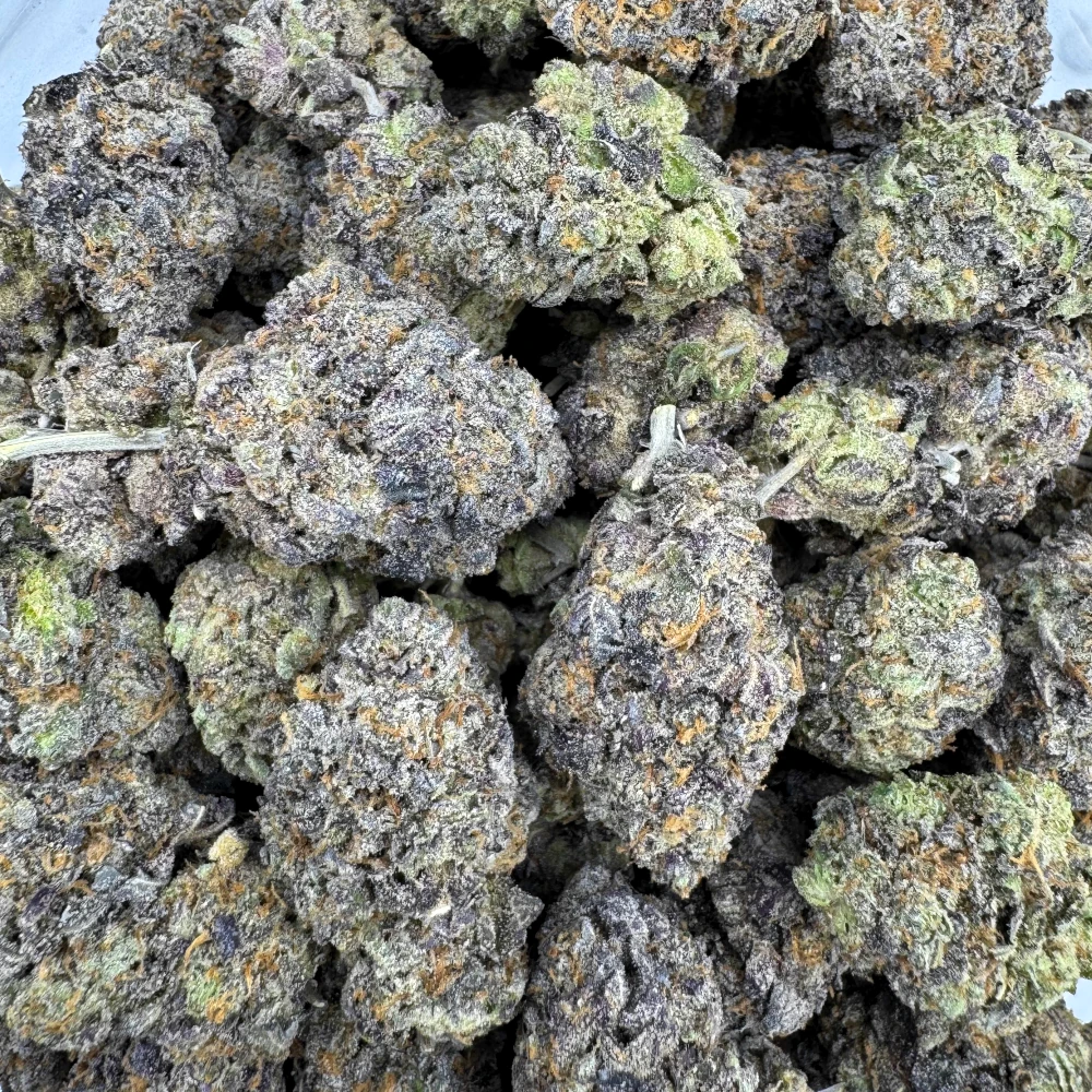 Bahama Mama Bulk Bahama Mama Bulk