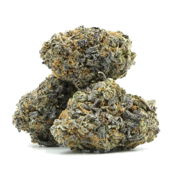 Bahama Mama Multi 1 Bahama Mama Multi