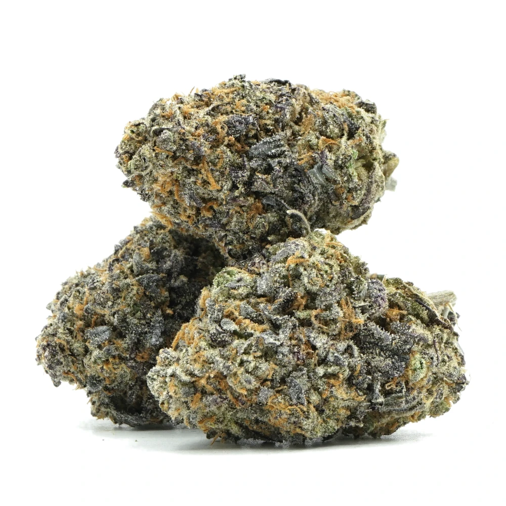 Bahama Mama Multi 1 Bahama Mama Multi