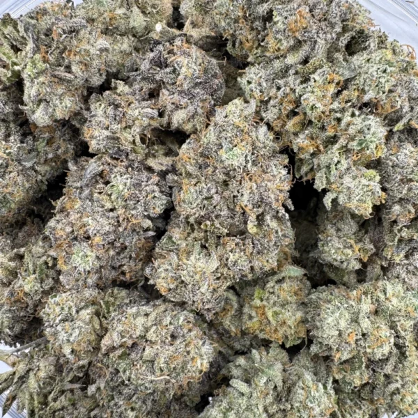 Pink Runtz Bulk