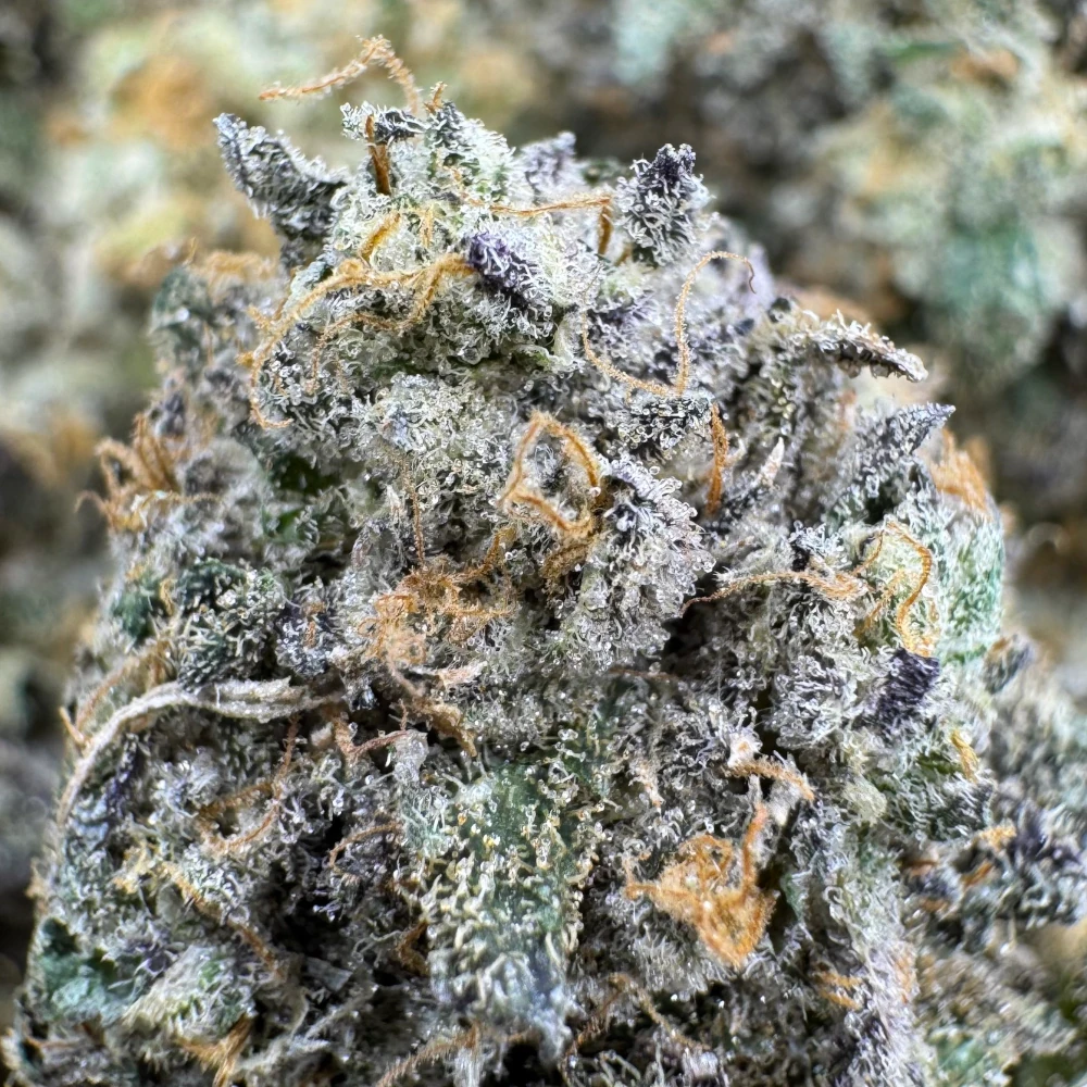 Pink Runtz Macro Pink Runtz Macro