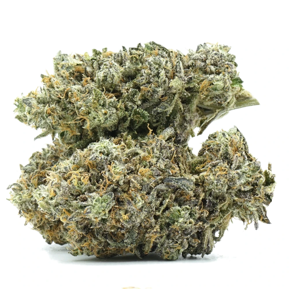 Pink Runtz Multi Pink Runtz Multi