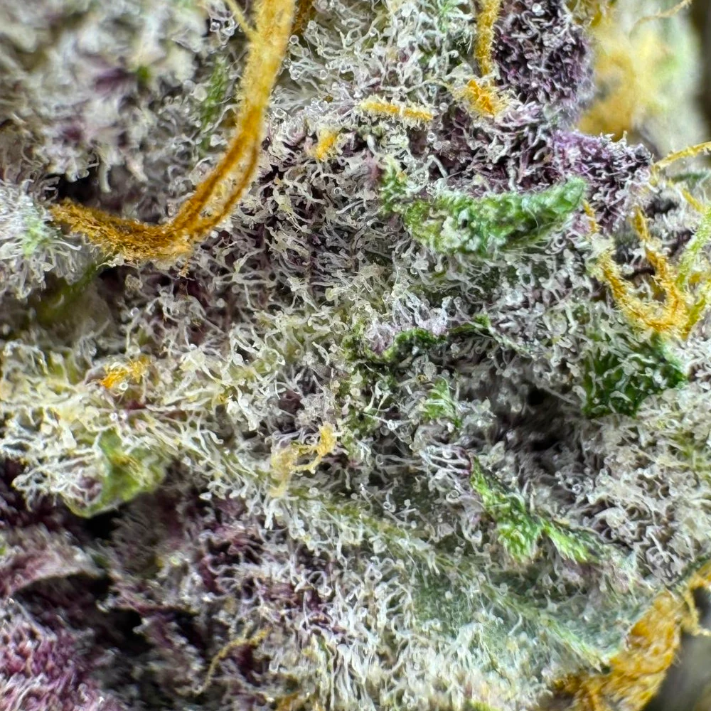 Wooly Mammoth By Growers Choice Macro