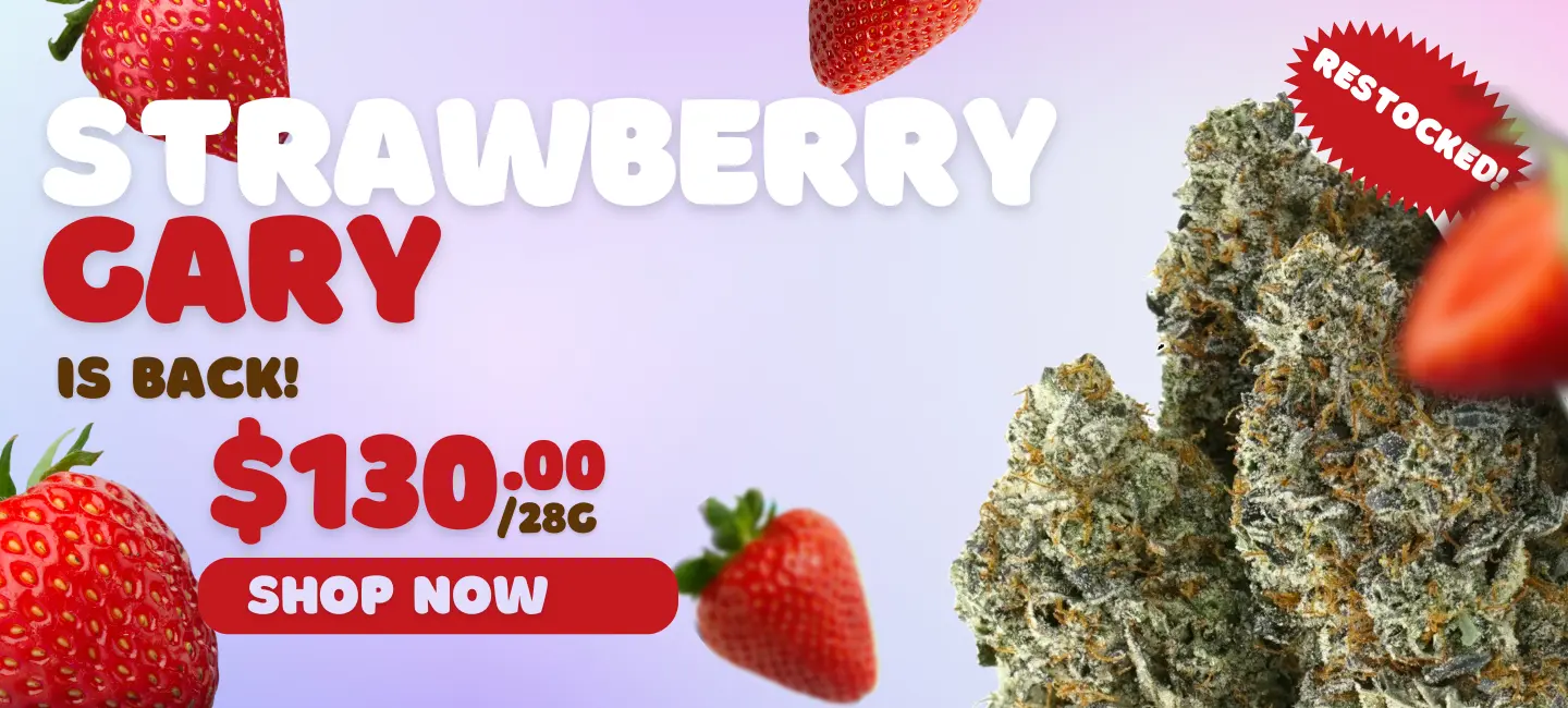 Strawberry Gary (1)