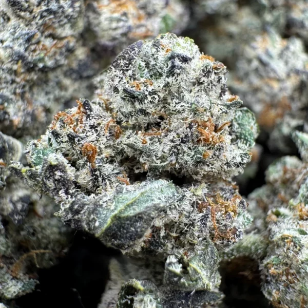 9lb Hammer Popcorn Macro