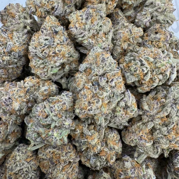 Candy Latte Bulk