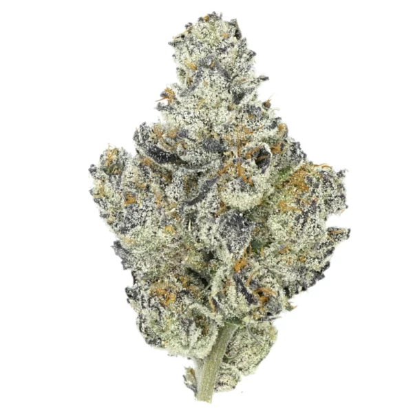 Grand Daddy Purple