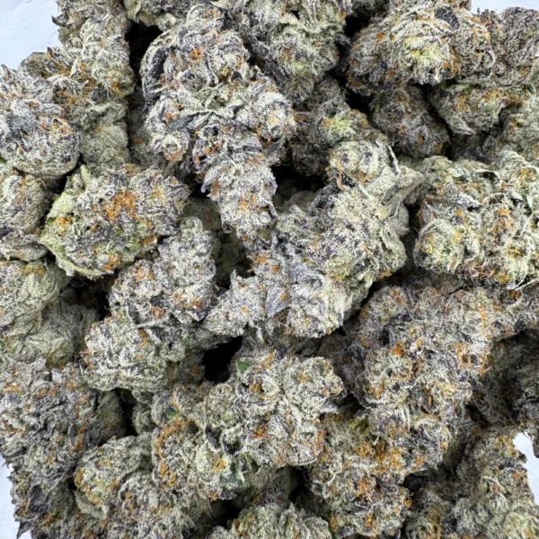 Grand Daddy Purple Bulk