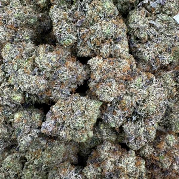 LSO Godfather OG Bulk