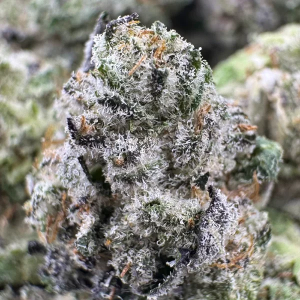 Master Yoda Popcorn Macro