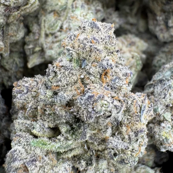 Cake Bomb Macro