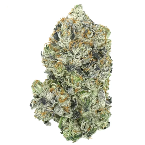 Chapo's Gas