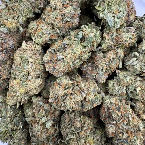 Coastal Pink Bulk