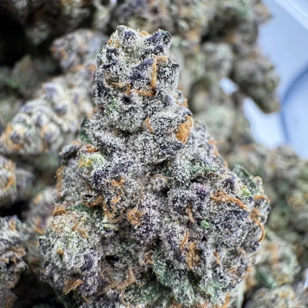 Frumpz Macro