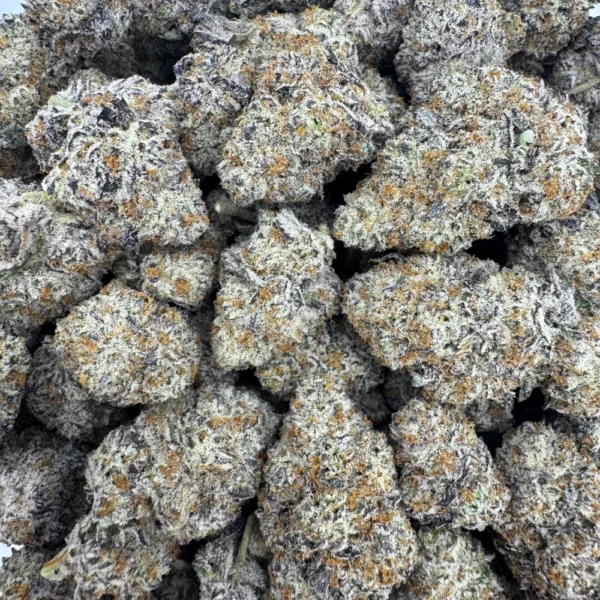 Glacier Glue Bulk