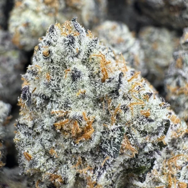 Glacier Glue Macro