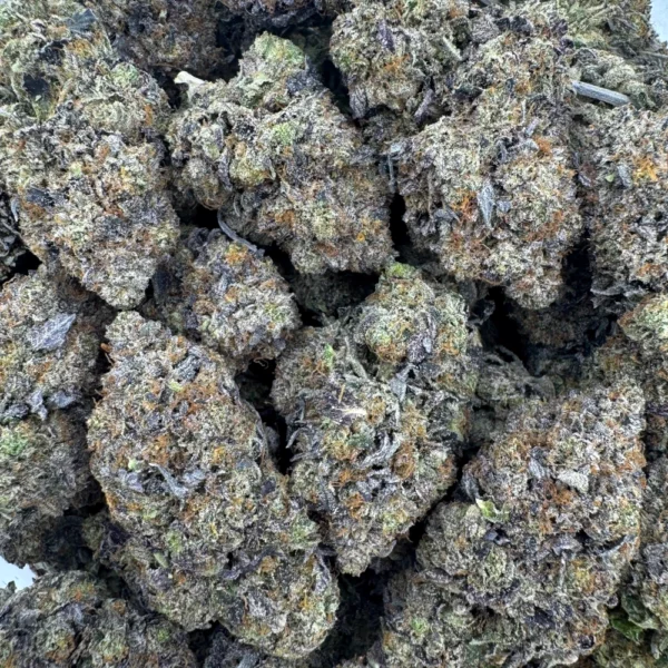 Pine Tar Kush Bulk