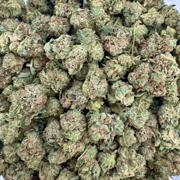 Pink Gas Mask Popcorn Bulk