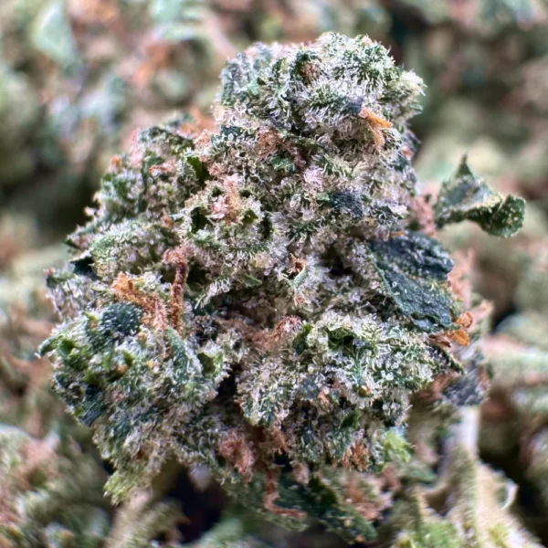 Pink Gas Mask Popcorn Macro