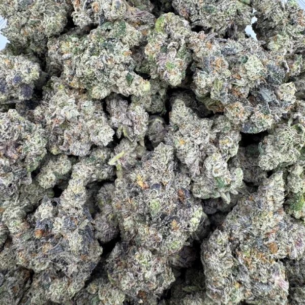 Sherb Quake Bulk