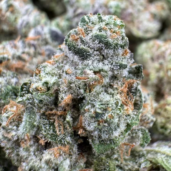 Blue Cookies Popcorn Macro 1 Blue Cookies Popcorn Macro