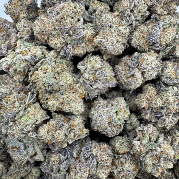 Citrus City Bulk