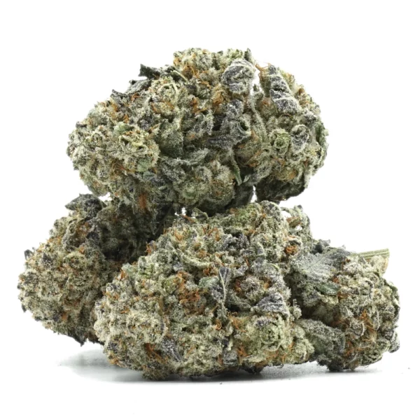 Citrus City Multi