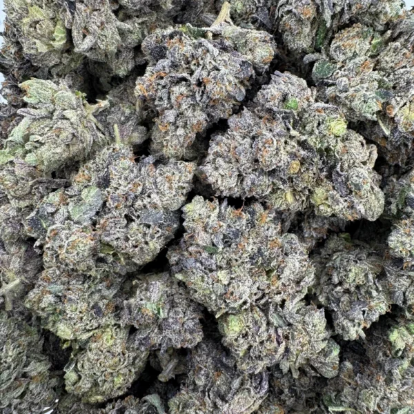 Gas Daddy Bulk