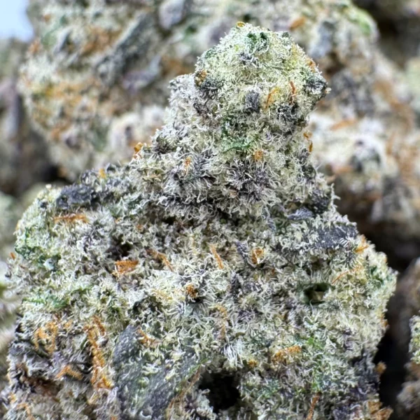 MAC #1 Macro