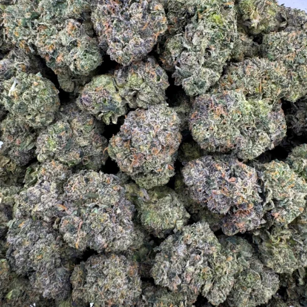 Skywalker OG Bulk