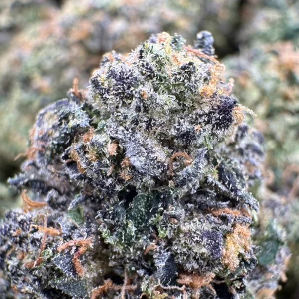 Skywalker OG Macro